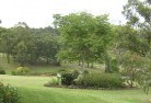 Doyalsonresidential-landscaping-40.jpg; ?>